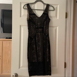Black / Nude lace dress.
